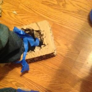 Meet your Posher, Isaac